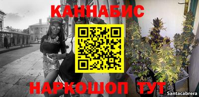 гидра Будённовск