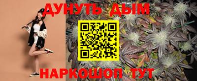 гидра Будённовск