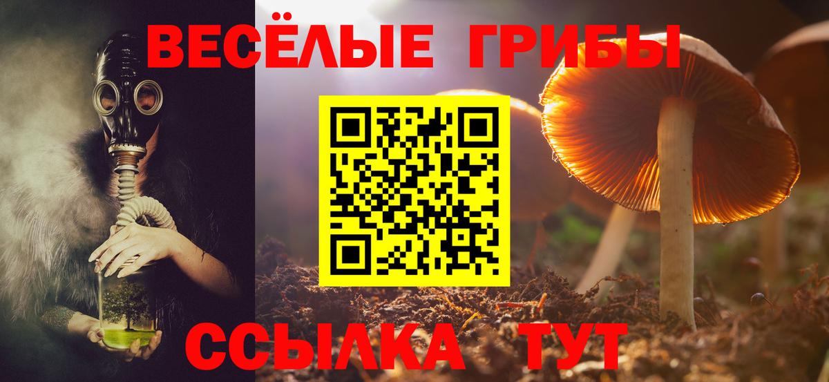 Галлюциногенные грибы Psilocybe  Вход с VPN  Йошкар-Ола  Галлюциногенные грибы ЛСД 